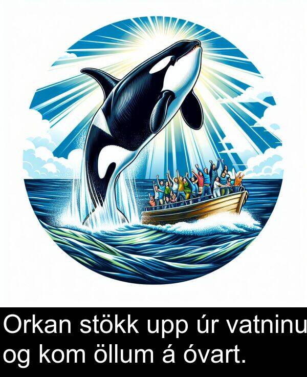 öllum: Orkan stökk upp úr vatninu og kom öllum á óvart.