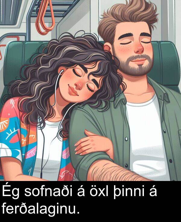 þinni: Ég sofnaði á öxl þinni á ferðalaginu.