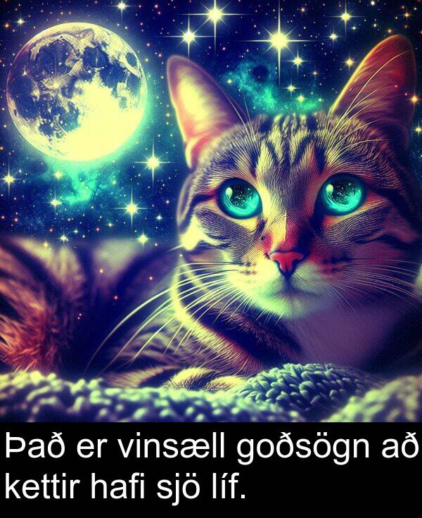 kettir: Það er vinsæll goðsögn að kettir hafi sjö líf.