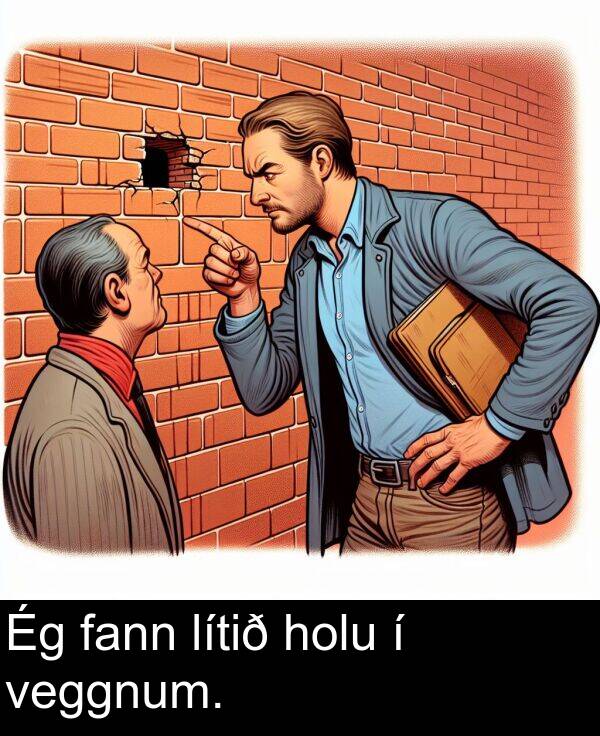 fann: Ég fann lítið holu í veggnum.