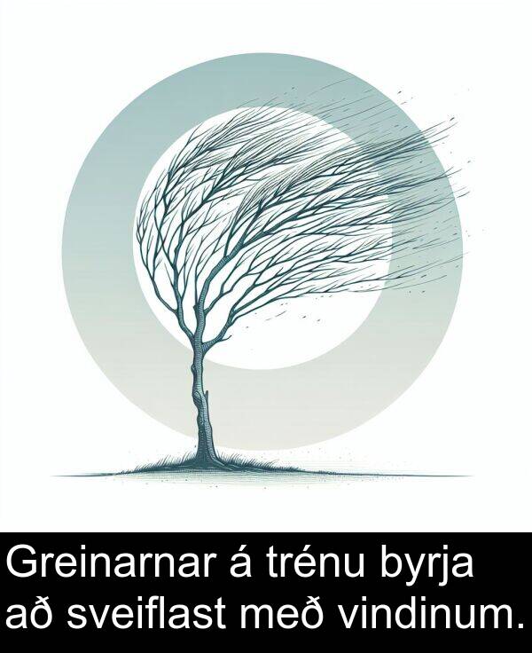 sveiflast: Greinarnar á trénu byrja að sveiflast með vindinum.