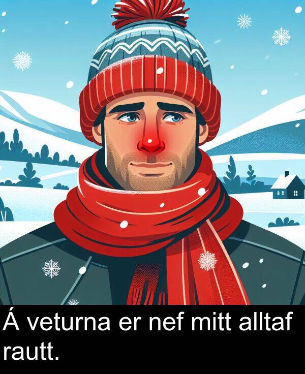 rautt: Á veturna er nef mitt alltaf rautt.