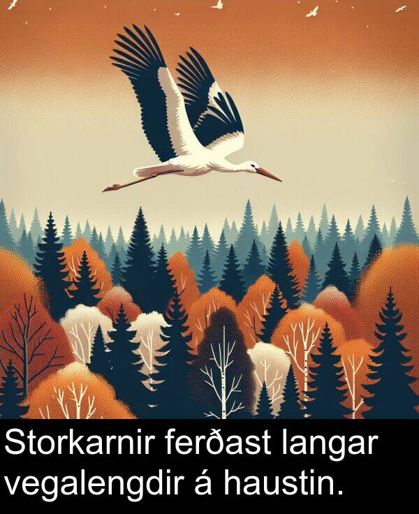 ferðast: Storkarnir ferðast langar vegalengdir á haustin.