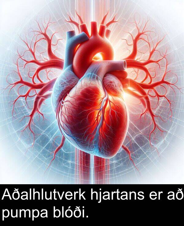 pumpa: Aðalhlutverk hjartans er að pumpa blóði.