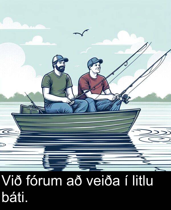 veiða: Við fórum að veiða í litlu báti.