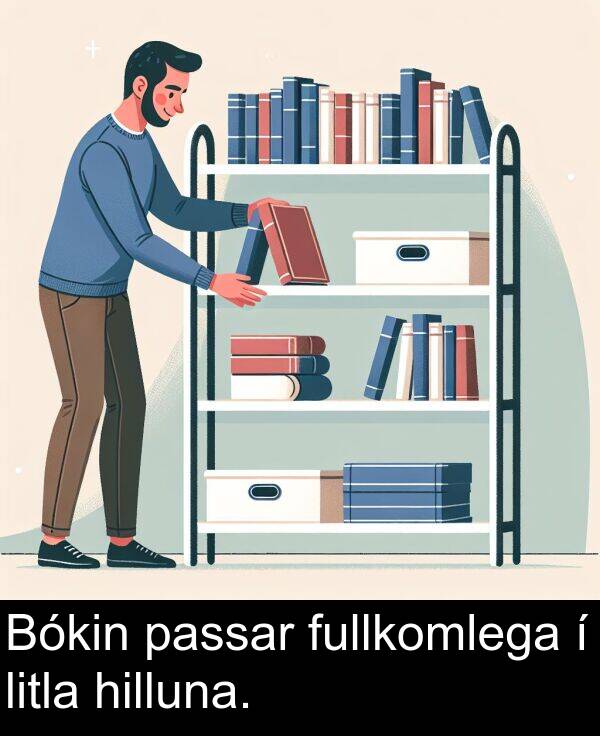passar: Bókin passar fullkomlega í litla hilluna.