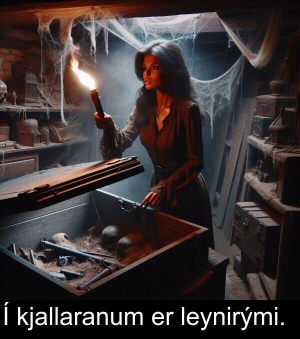 kjallaranum: Í kjallaranum er leynirými.
