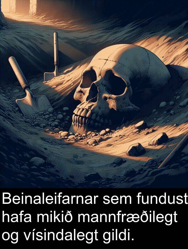 gildi: Beinaleifarnar sem fundust hafa mikið mannfræðilegt og vísindalegt gildi.
