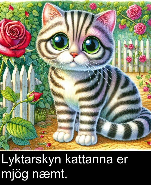kattanna: Lyktarskyn kattanna er mjög næmt.