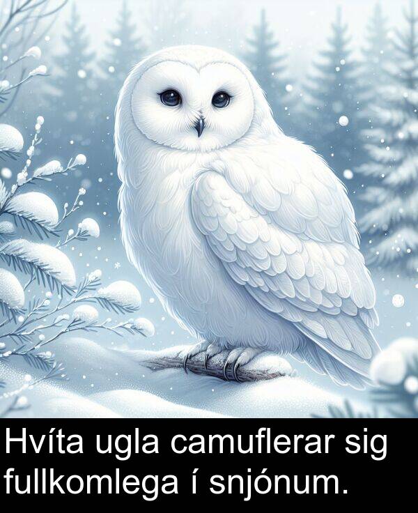 camuflerar: Hvíta ugla camuflerar sig fullkomlega í snjónum.