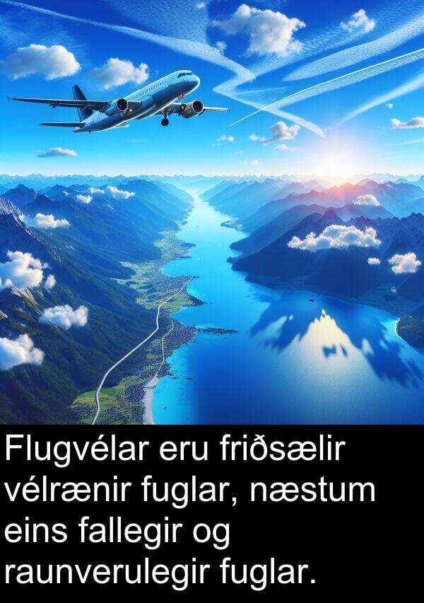 vélrænir: Flugvélar eru friðsælir vélrænir fuglar, næstum eins fallegir og raunverulegir fuglar.