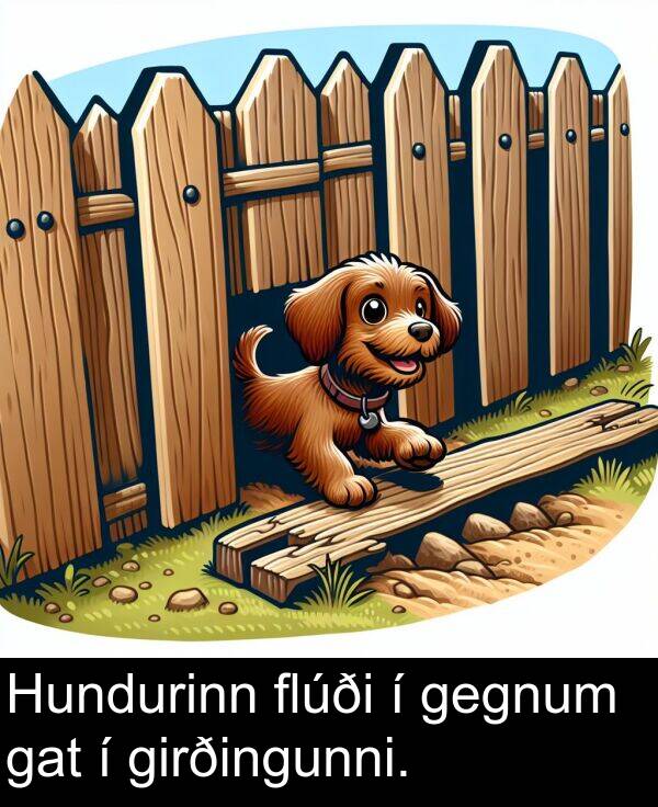 girðingunni: Hundurinn flúði í gegnum gat í girðingunni.