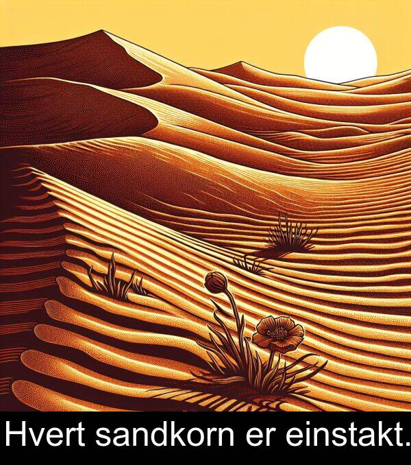 sandkorn: Hvert sandkorn er einstakt.
