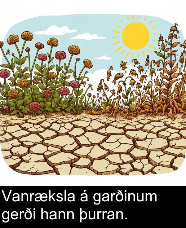 þurran: Vanræksla á garðinum gerði hann þurran.