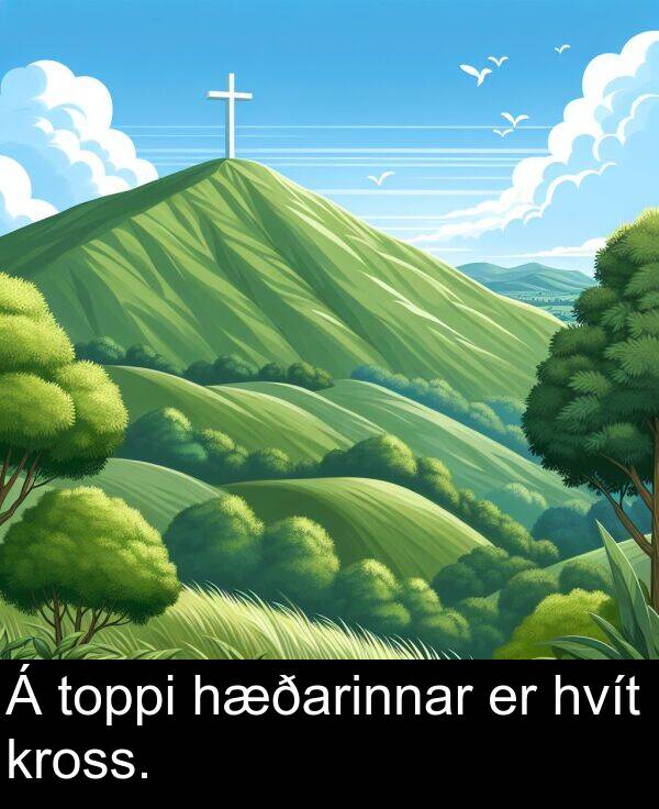 hvít: Á toppi hæðarinnar er hvít kross.