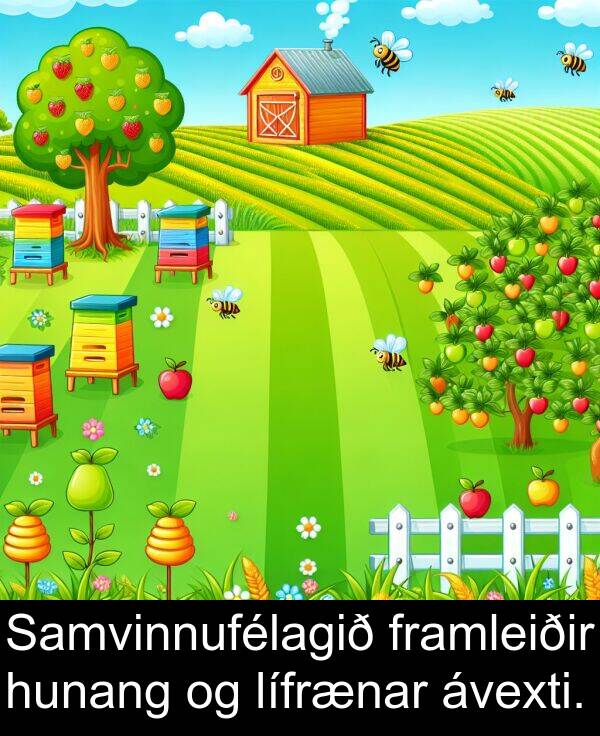 lífrænar: Samvinnufélagið framleiðir hunang og lífrænar ávexti.