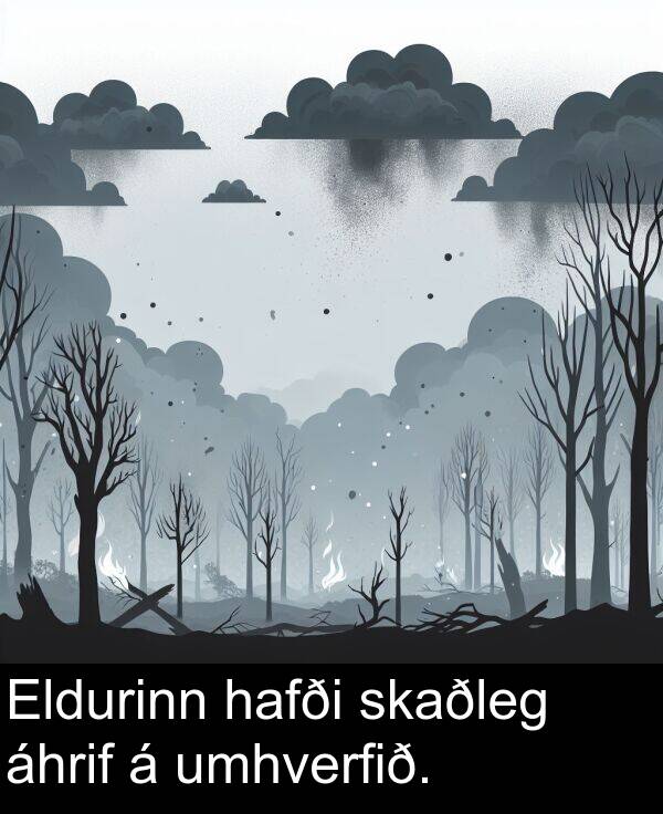 umhverfið: Eldurinn hafði skaðleg áhrif á umhverfið.