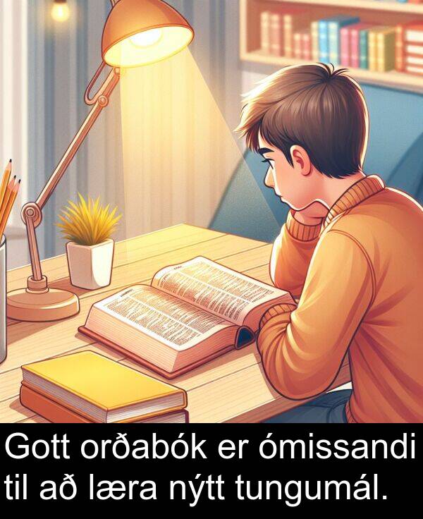 ómissandi: Gott orðabók er ómissandi til að læra nýtt tungumál.