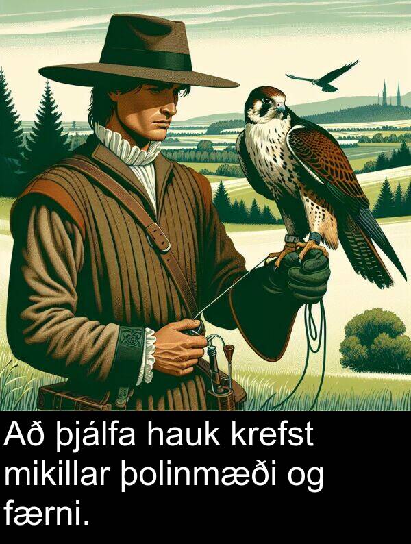 þolinmæði: Að þjálfa hauk krefst mikillar þolinmæði og færni.