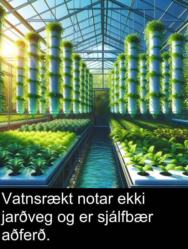 jarðveg: Vatnsrækt notar ekki jarðveg og er sjálfbær aðferð.
