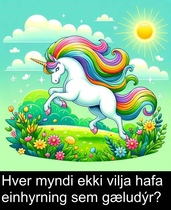 einhyrning: Hver myndi ekki vilja hafa einhyrning sem gæludýr?