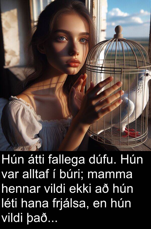 mamma: Hún átti fallega dúfu. Hún var alltaf í búri; mamma hennar vildi ekki að hún léti hana frjálsa, en hún vildi það...