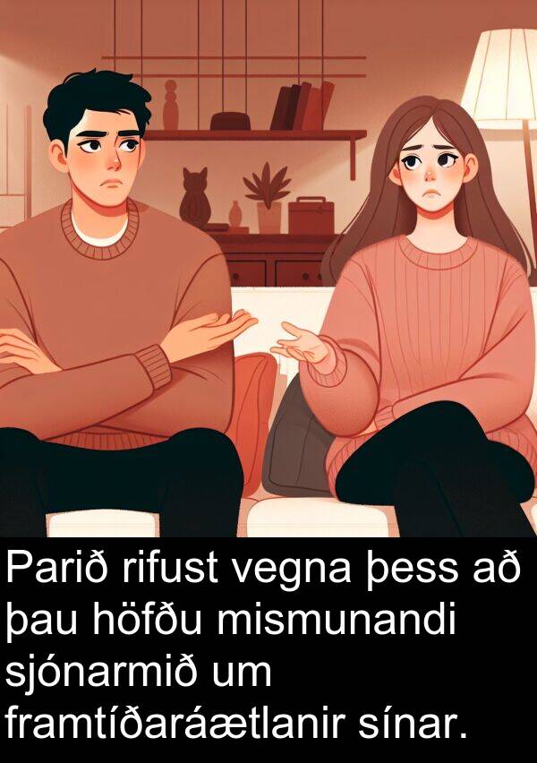 rifust: Parið rifust vegna þess að þau höfðu mismunandi sjónarmið um framtíðaráætlanir sínar.
