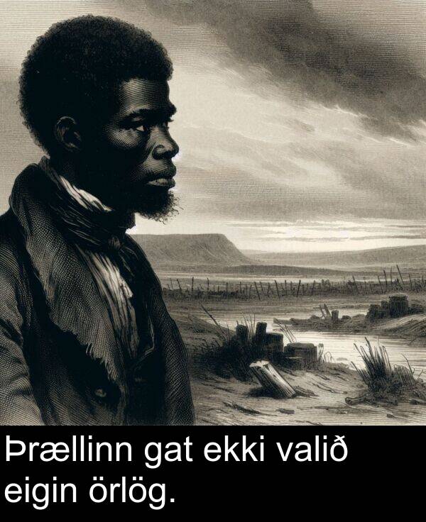 eigin: Þrællinn gat ekki valið eigin örlög.