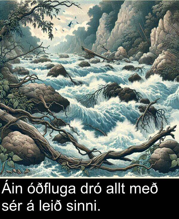 sér: Áin óðfluga dró allt með sér á leið sinni.