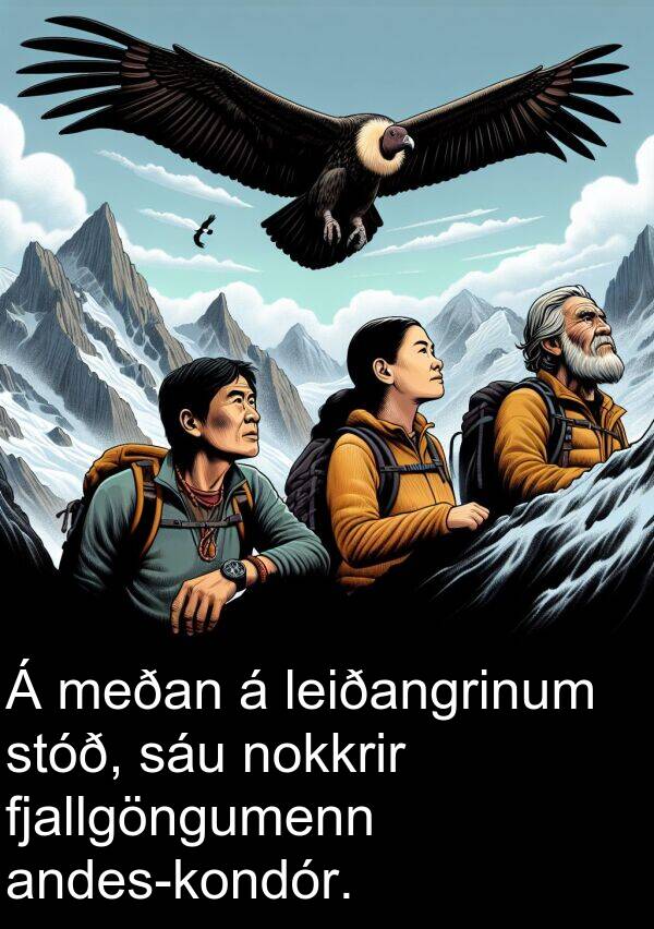 sáu: Á meðan á leiðangrinum stóð, sáu nokkrir fjallgöngumenn andes-kondór.