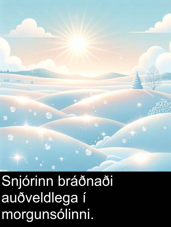 bráðnaði: Snjórinn bráðnaði auðveldlega í morgunsólinni.
