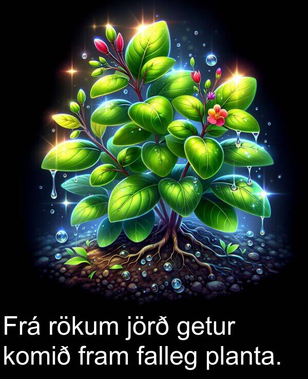falleg: Frá rökum jörð getur komið fram falleg planta.