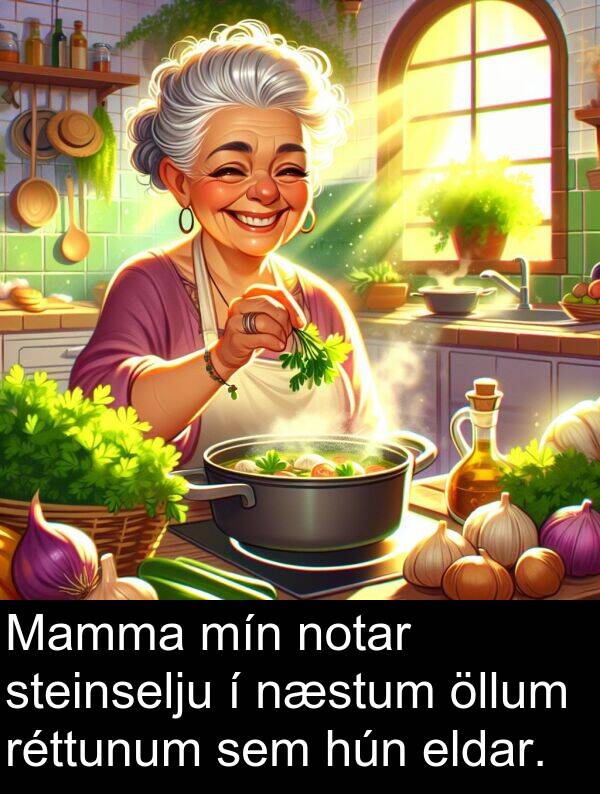 öllum: Mamma mín notar steinselju í næstum öllum réttunum sem hún eldar.
