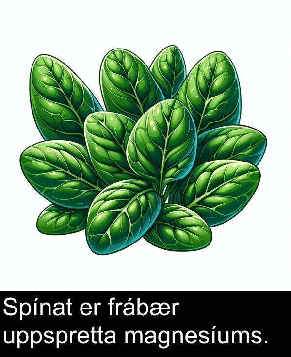 uppspretta: Spínat er frábær uppspretta magnesíums.