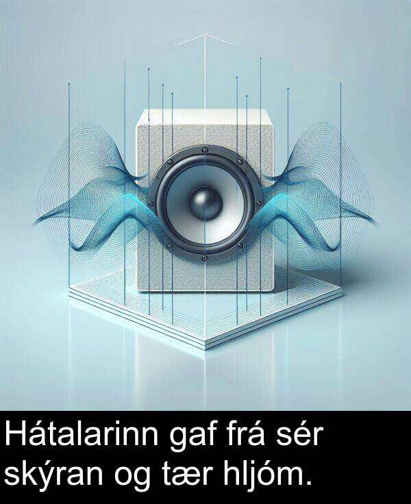 sér: Hátalarinn gaf frá sér skýran og tær hljóm.
