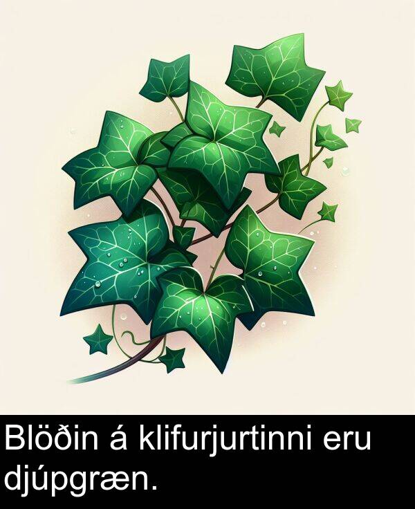 djúpgræn: Blöðin á klifurjurtinni eru djúpgræn.