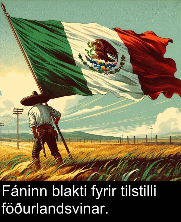 tilstilli: Fáninn blakti fyrir tilstilli föðurlandsvinar.