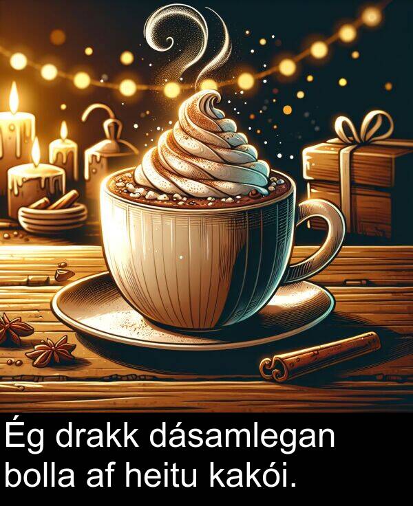 drakk: Ég drakk dásamlegan bolla af heitu kakói.