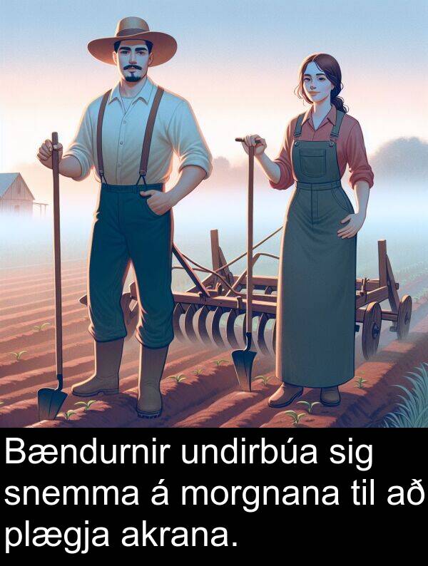 undirbúa: Bændurnir undirbúa sig snemma á morgnana til að plægja akrana.