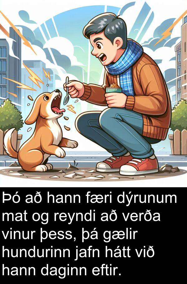 mat: Þó að hann færi dýrunum mat og reyndi að verða vinur þess, þá gælir hundurinn jafn hátt við hann daginn eftir.
