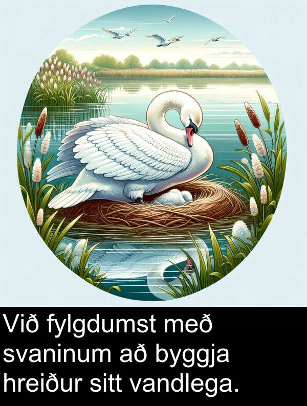 vandlega: Við fylgdumst með svaninum að byggja hreiður sitt vandlega.