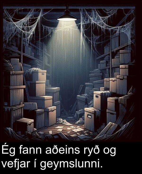 fann: Ég fann aðeins ryð og vefjar í geymslunni.