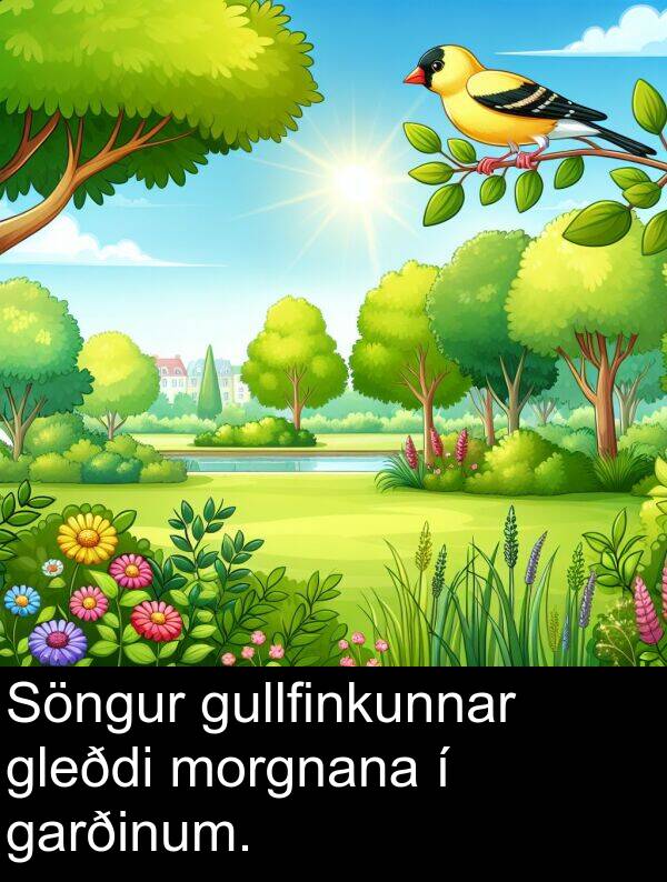 gleðdi: Söngur gullfinkunnar gleðdi morgnana í garðinum.