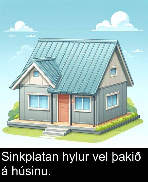 þakið: Sinkplatan hylur vel þakið á húsinu.
