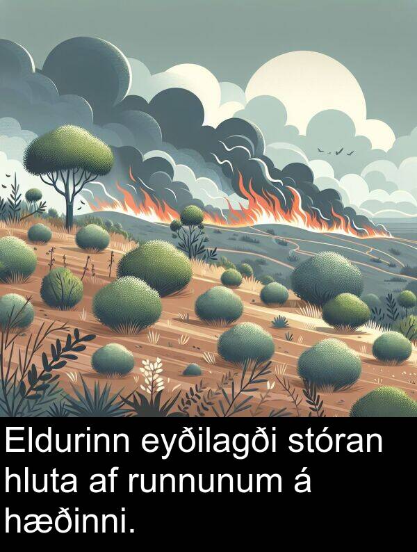 hæðinni: Eldurinn eyðilagði stóran hluta af runnunum á hæðinni.