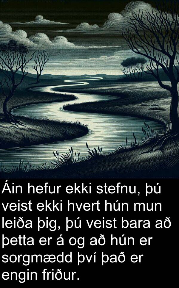 þetta: Áin hefur ekki stefnu, þú veist ekki hvert hún mun leiða þig, þú veist bara að þetta er á og að hún er sorgmædd því það er engin friður.