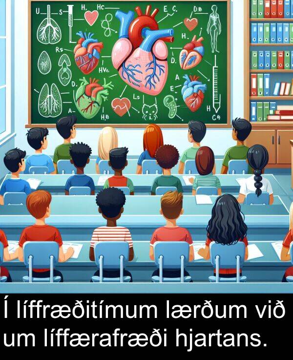 lærðum: Í líffræðitímum lærðum við um líffærafræði hjartans.