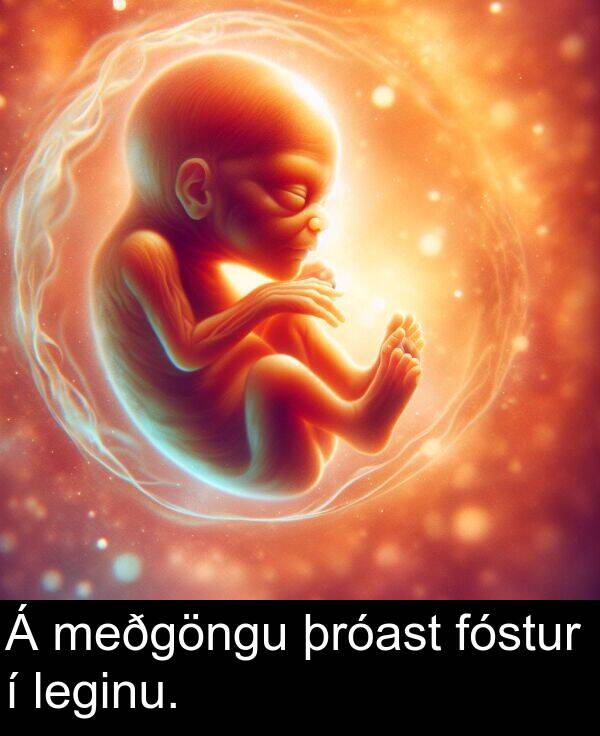 þróast: Á meðgöngu þróast fóstur í leginu.