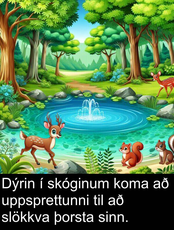 þorsta: Dýrin í skóginum koma að uppsprettunni til að slökkva þorsta sinn.