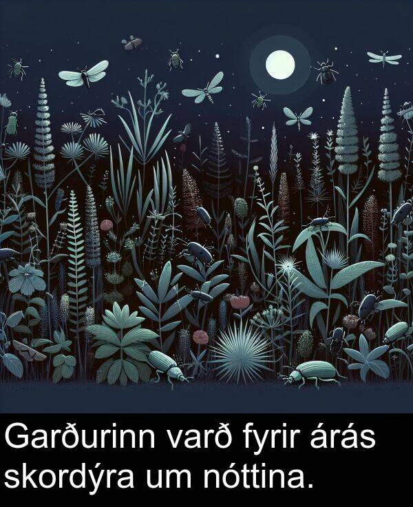 varð: Garðurinn varð fyrir árás skordýra um nóttina.